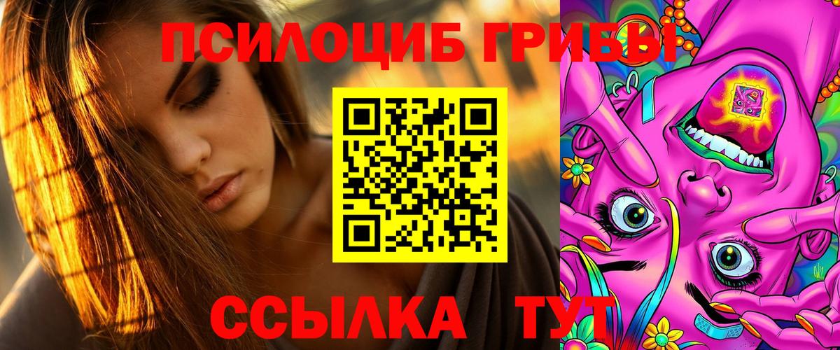 Галлюциногенные грибы Psilocybe  где найти наркотики  Ярцево  Вход с VPN 