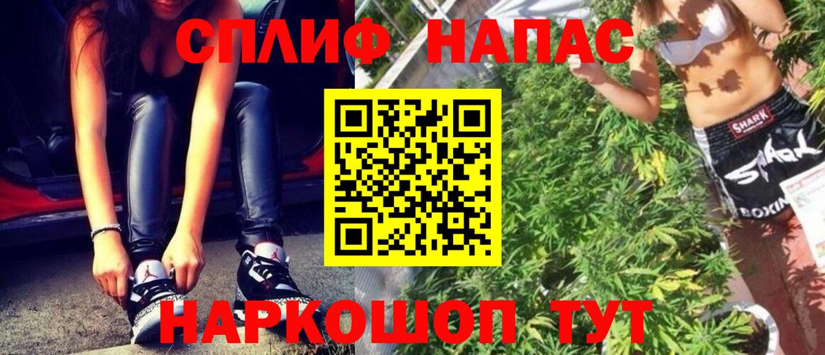 Ярцево  Марихуана сатива  Марихуана тримм  Вход с VPN  Каннабис сатива  Каннабис план 